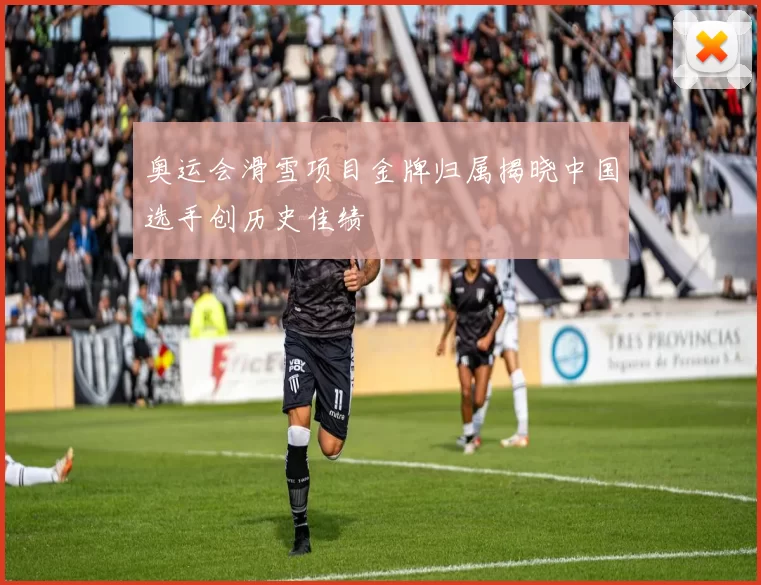 奥运会滑雪项目金牌归属揭晓中国选手创历史佳绩